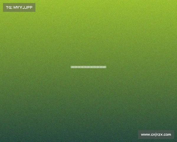 聚焦留洋计划促进青年发展助力国际化人才培养新路径